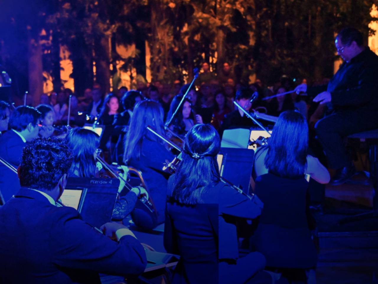 Concierto: Noche sinfónica