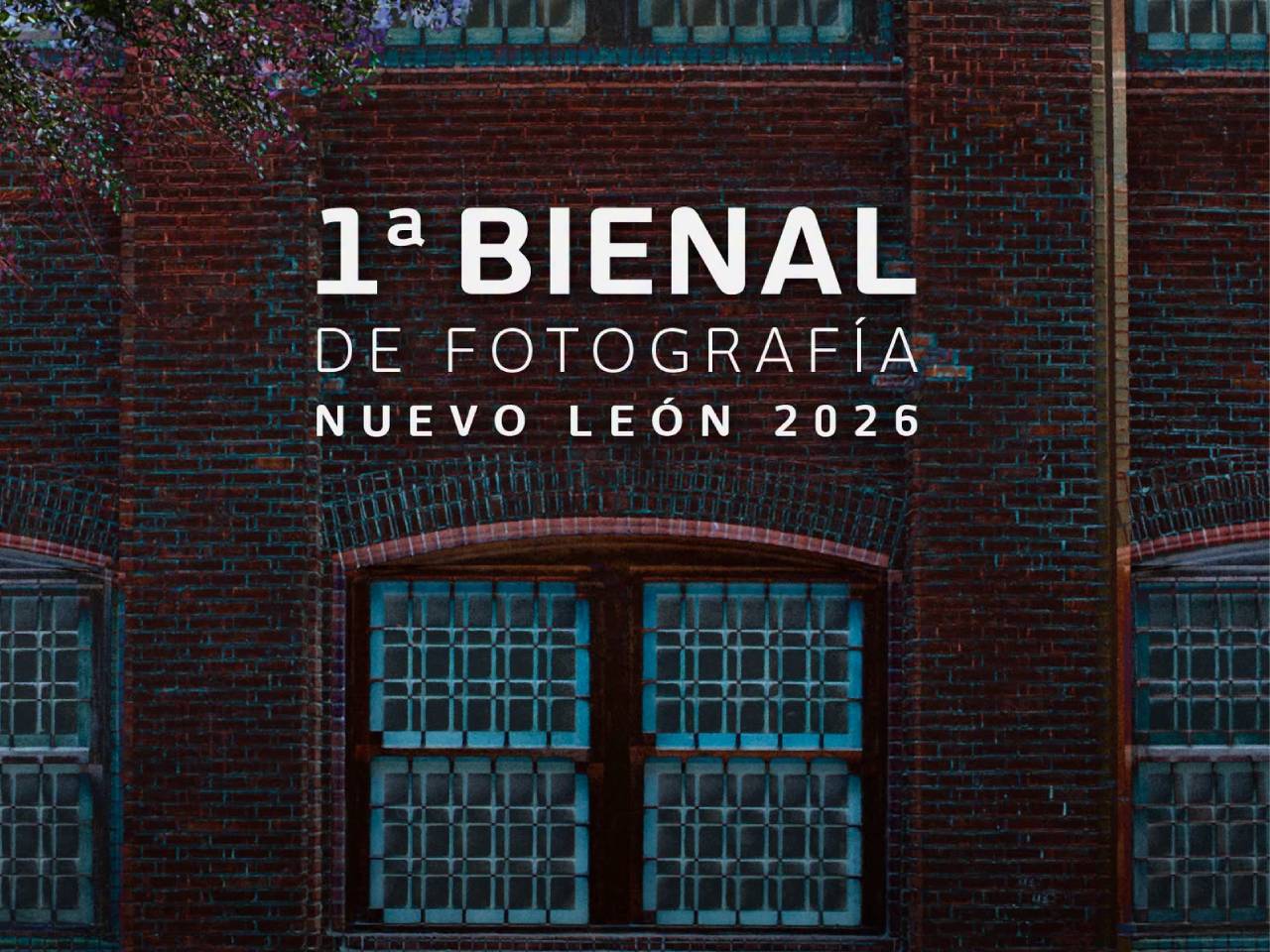Bienasl Fotografía NL