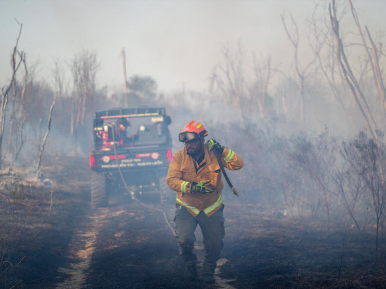 incendios forestales