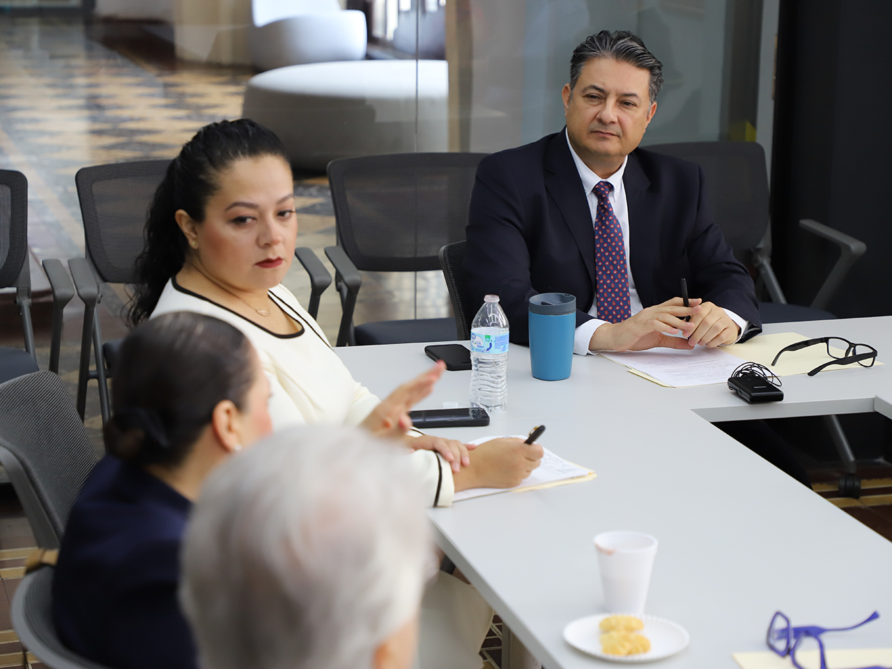 Será Consejo de Participación Ciudadana: embajadores del ICV