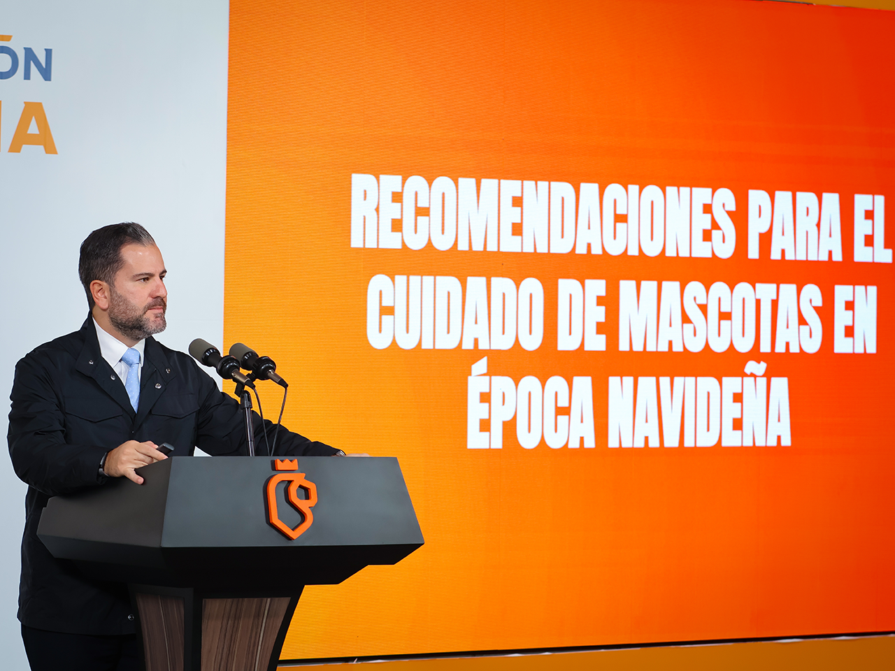 Emite Medio Ambiente recomendaciones para el cuidado de mascotas en época navideña