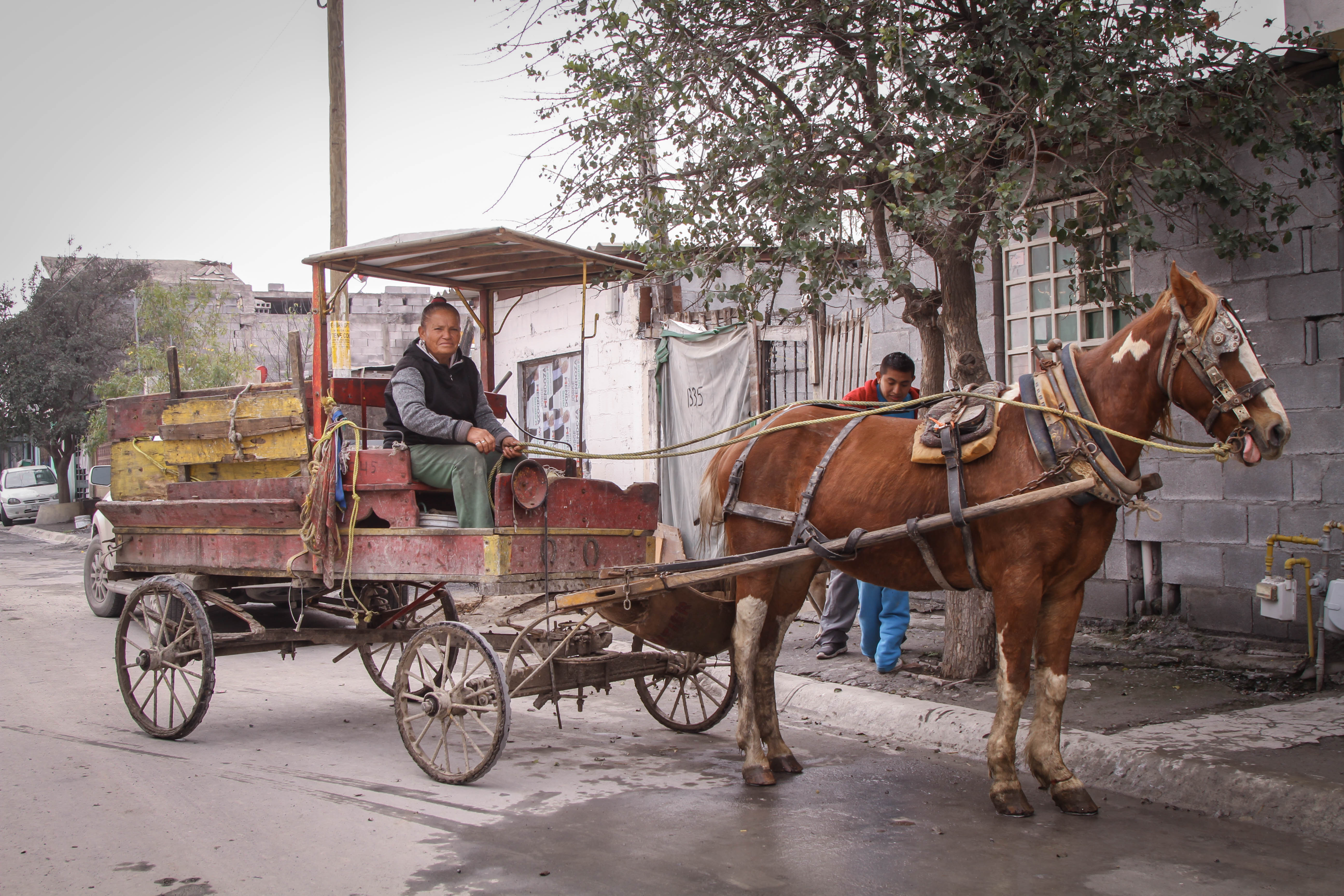 Programa de Ordenamiento Territorial de la Región Citrícola