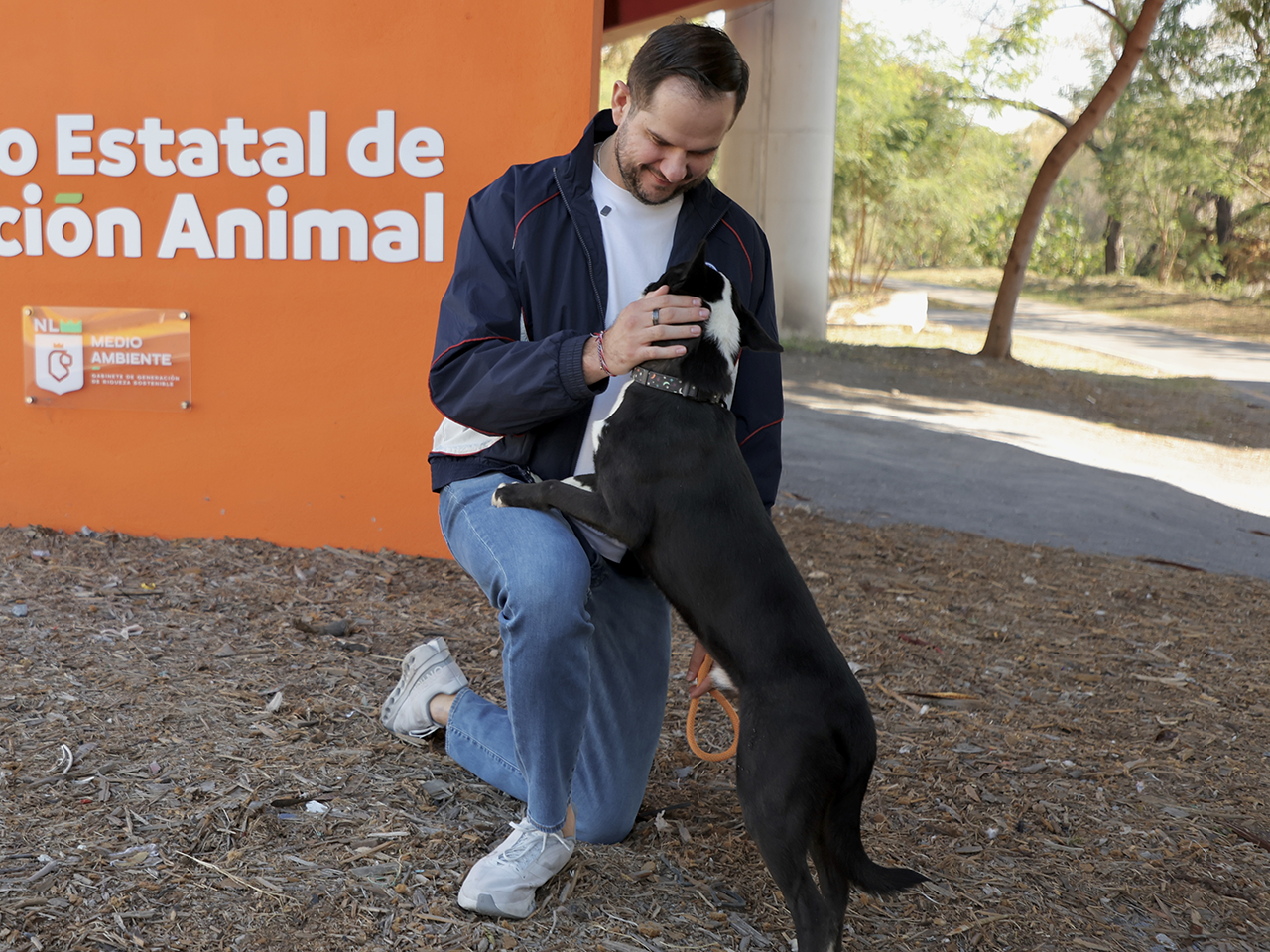 Dan voluntarios ejemplo de corresponsabilidad; pasean perritos en adopción del Centro de Atención Animal  