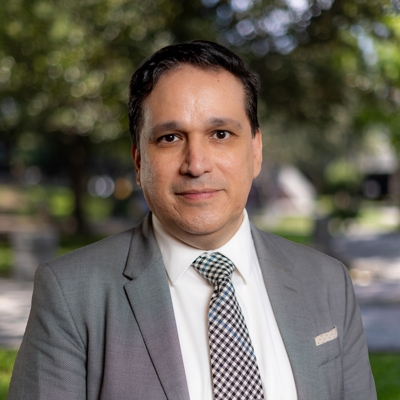 Ulises Carlin de la Fuente