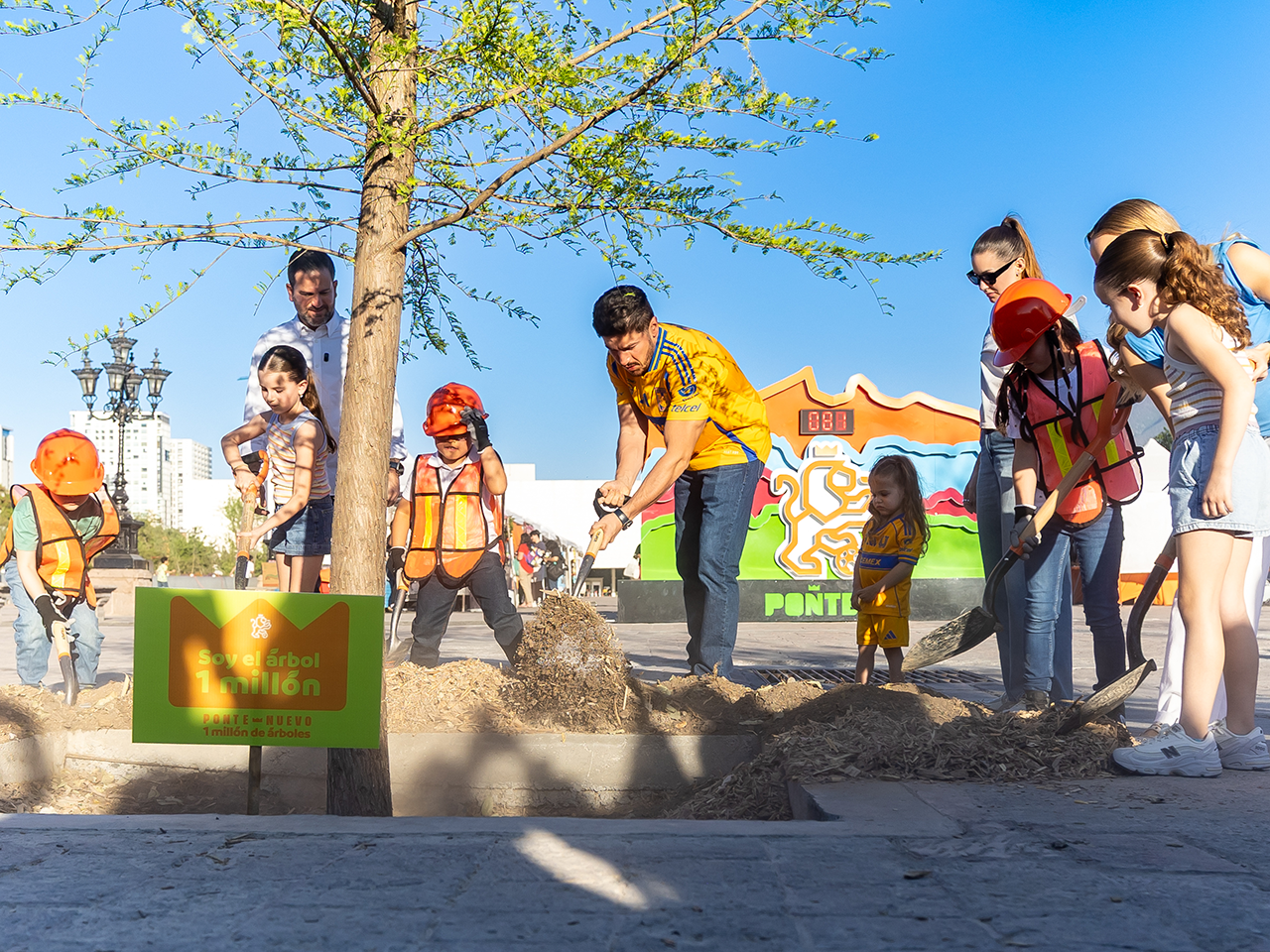 newsletter edición 178