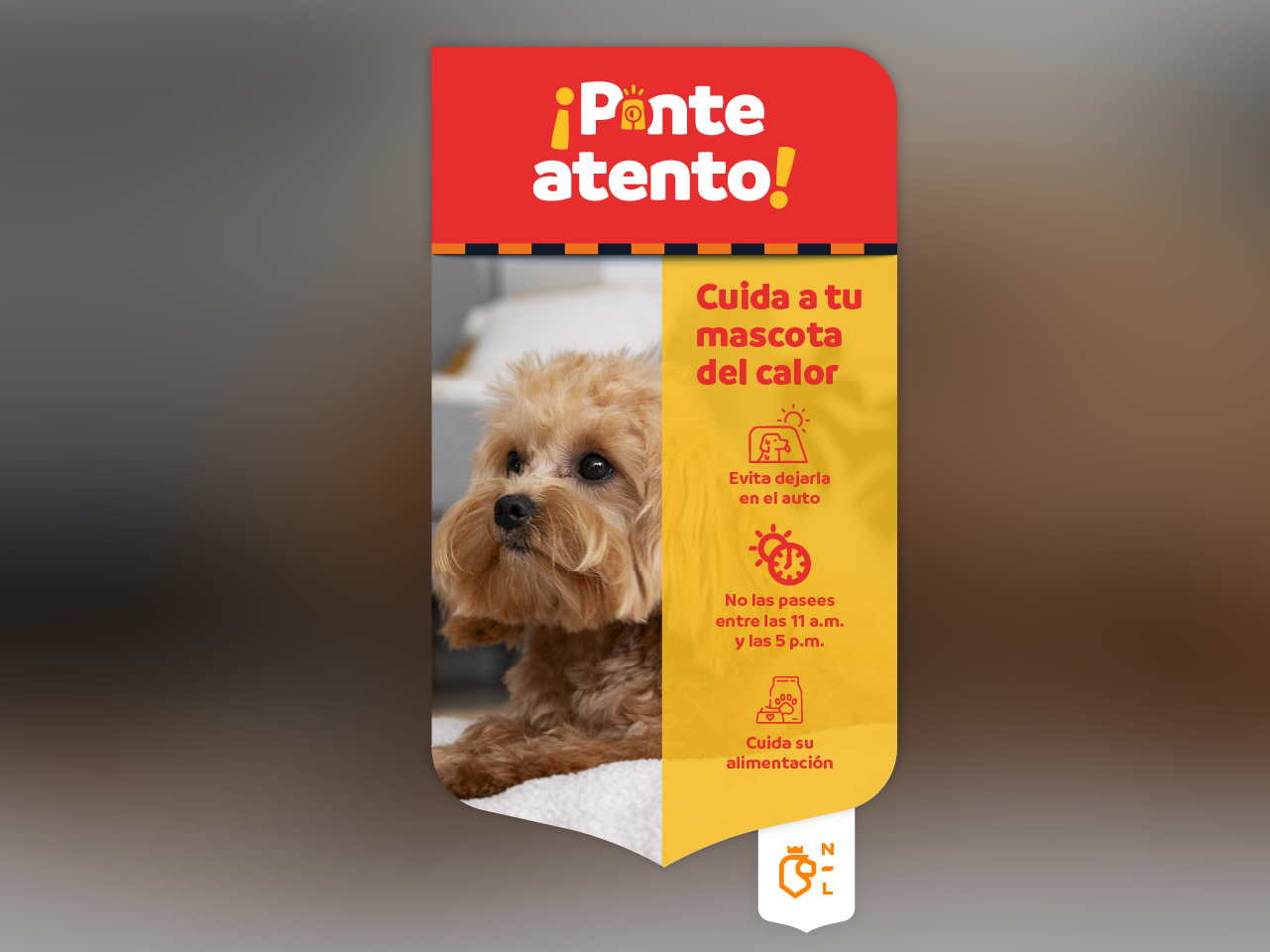 ¡Ponte Atento! Cuida a tu mascosta del calor, evita dejarla en el auto y pasearla entre las 11 a.m. y 5 p.m. 
