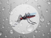 Dengue